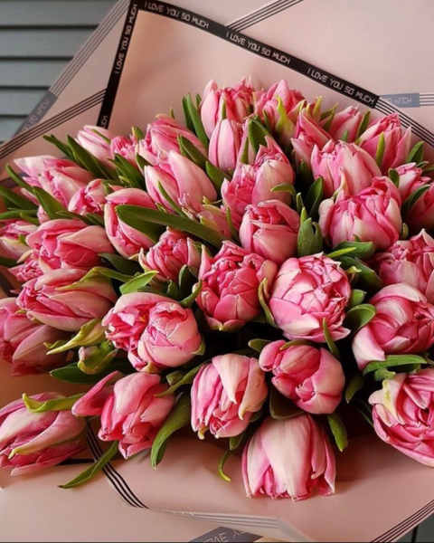 Пионовидные тюльпаны